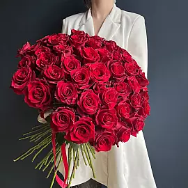 51 rote Rose