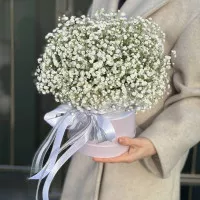 Букет у коробці з гіпсофілою