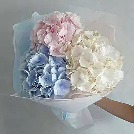 Ramo de 3 hortensias