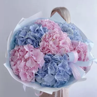 Букет гортензій – 7 шт