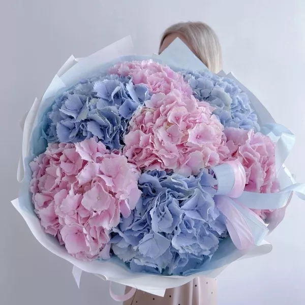 Букет гортензій – 7 шт