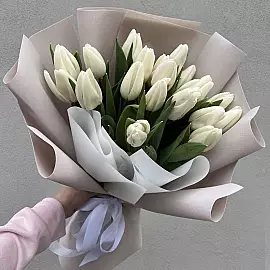 19 tulipas