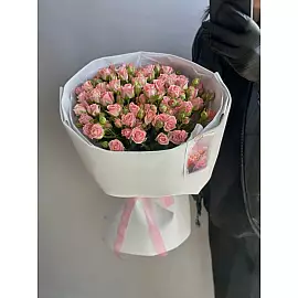 Oasis Rose