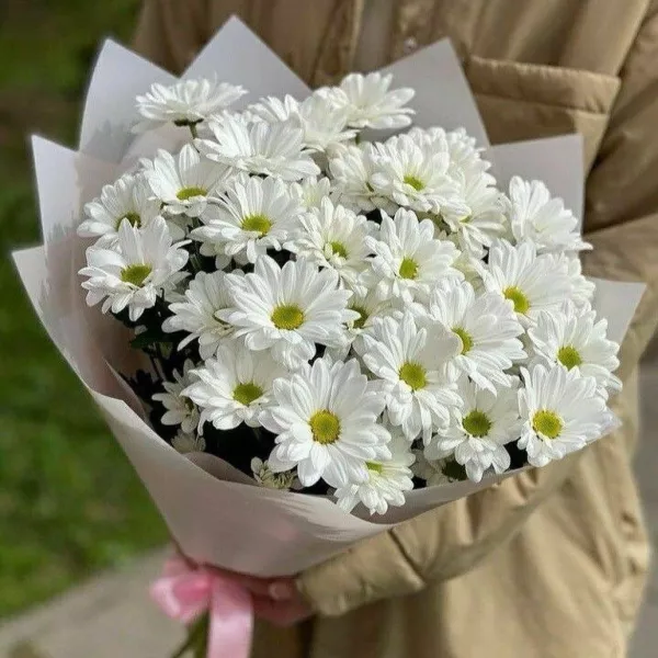 Букет з білих хризантем
