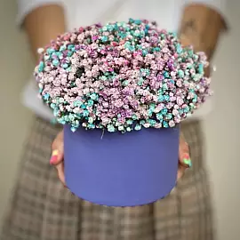 Paleta floral con gypsophila