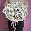 Ramo de 11 gypsophilas blancas