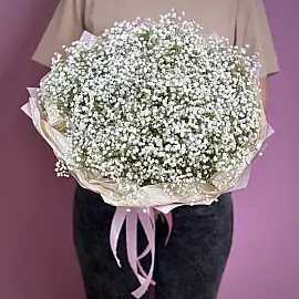Букет из 11 белых гипсофил