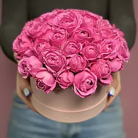 Nuage Rose