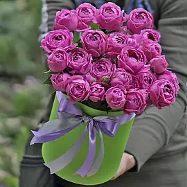 Tendresse des Pivoines
