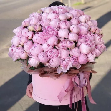 Ramo de 101 peonías en caja