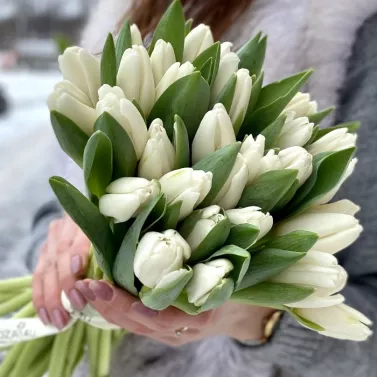 Сніжні мелодії