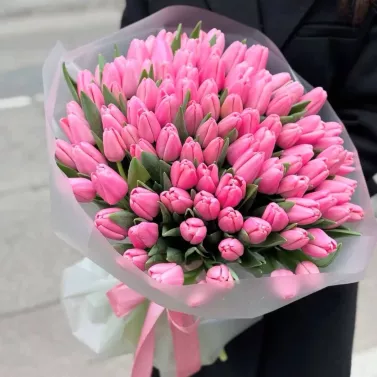 101 tulipanes rosas — Océano de ternura