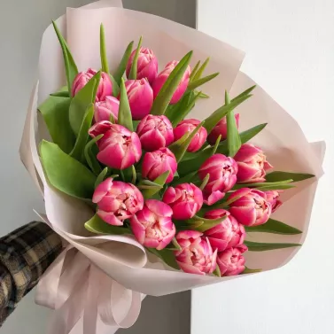 Ramo de 21 tulipanes — Ramo primaveral elegante