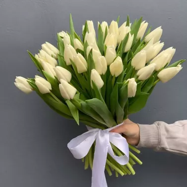 51 білий тюльпан — Елегантний букет для коханої