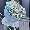 Ramo de gypsophilas blancas — delicada ligereza