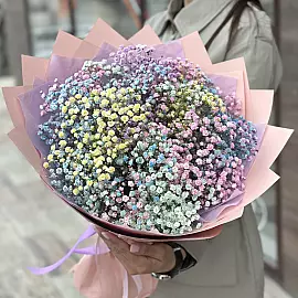 Ramo de 11 gypsophilas de colores