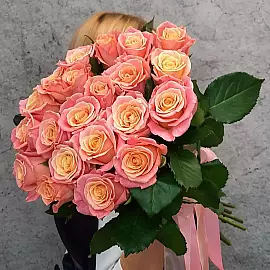21 Pfirsichrosen