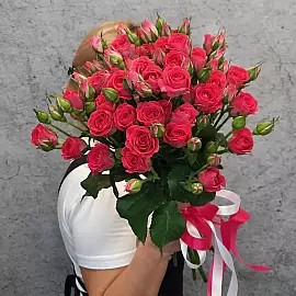 Jardin rose