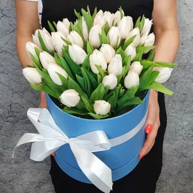 Composición en caja de 35 tulipanes blancos