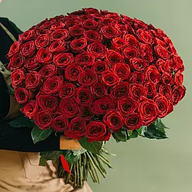 101 rose rosse 60 cm