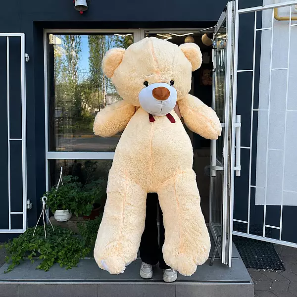 Oso 200 cm
