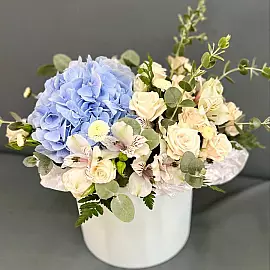 Ramo en caja con hortensia — una composición delicada