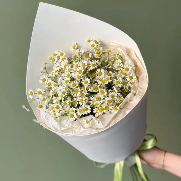 Букет з танацетуму — польові ромашки