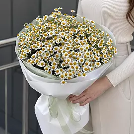 Buquê «Conto de Margaridas»