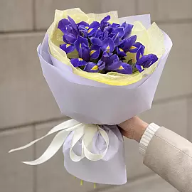 Sonho azul — 9 íris
