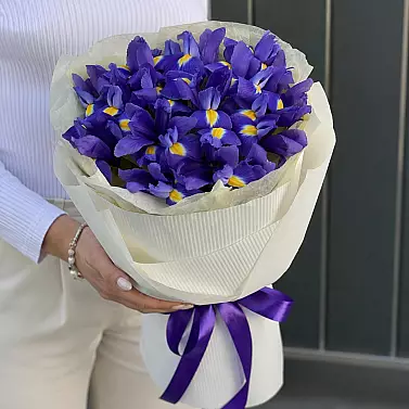 “Iris Harmony” — Bouquet of Purple Irises