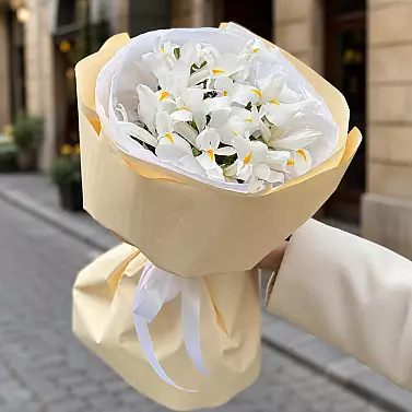 “White Radiance” — Bouquet of White Irises