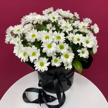 Trauerkomposition mit Chrysanthemen in einer Box