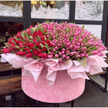 Ramo de 501 tulipanes en caja — compra un regalo de lujo