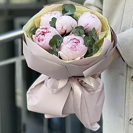 Ніжні півонії