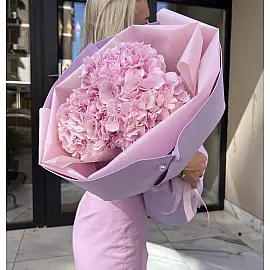 Ternura rosa