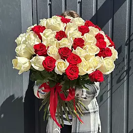 51 Dúo de Rosas