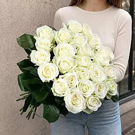 Ternura branca como a neve — buquê de 25 rosas brancas