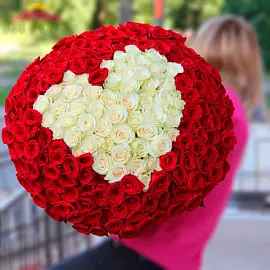 Amor en el Corazón — 201 Rosas