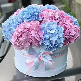 Caja con Hortensias – Tonos Rosas y Azules