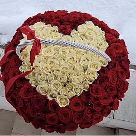 101 roses in a basket “You are my heart”
