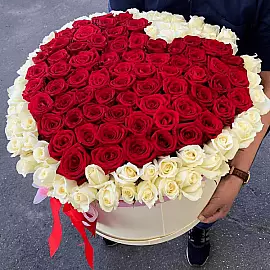 Cœur de 151 Roses — Amour Rouge et Blanc