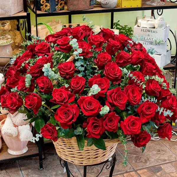 101 czerwona róża w koszu