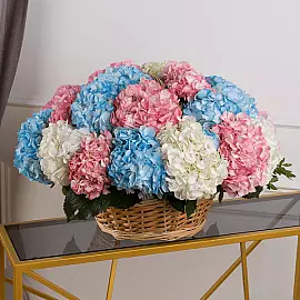 21 hortensias en panier « Nuage de tendresse »