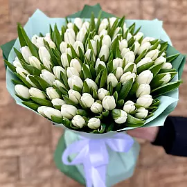 Strauß aus 101 weißen Tulpen — pure Zärtlichkeit