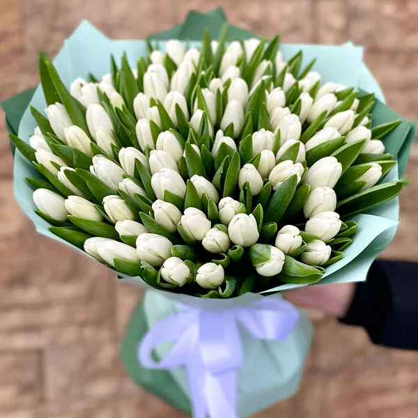 Букет із 101 білого тюльпана — чиста ніжність