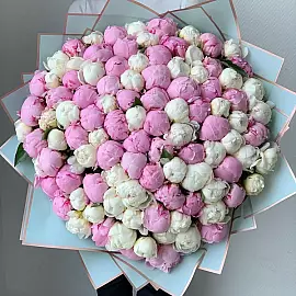 Гледис