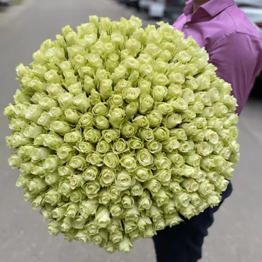 Букет із 201 білої троянди