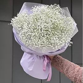 Ramo de 15 gypsophilas blancas